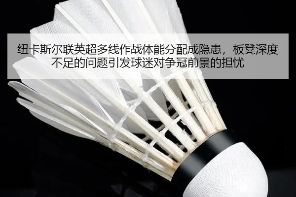 niu-ka-si-er-lian-ying-chao-duo-xian-zuo-zhan-ti-neng-fen-pei-cheng-yin-huan-ban-deng-shen-du-bu-zu-de-wen-ti-yin-fa-2-293.jpg